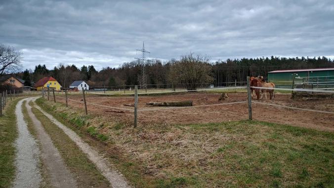 Kurz vor einsetzender Dunkelheit noch den Kopf freigelaufen