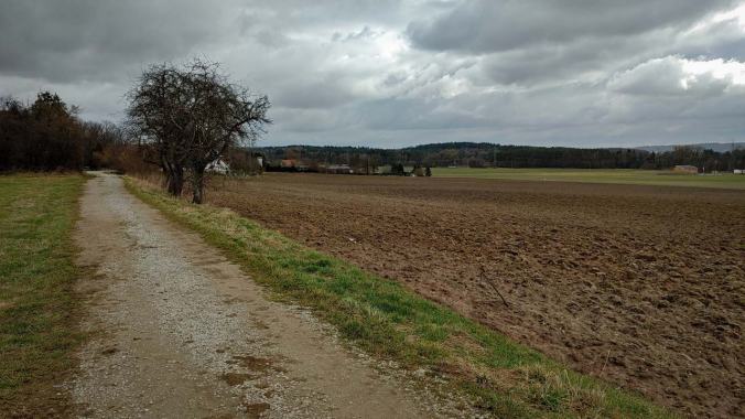 Mit Sonne gestartet, in die Wolken reingelaufen
