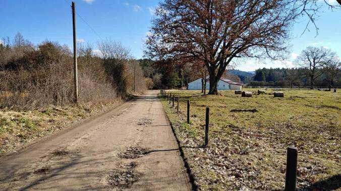 Monatsabschlusslauf im Sonnenschein