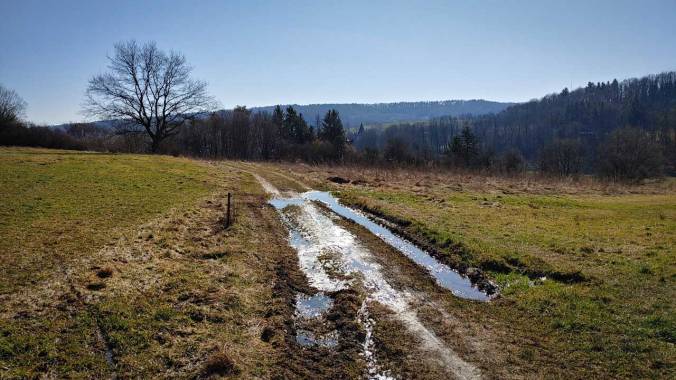 Sonniger Mittagslauf