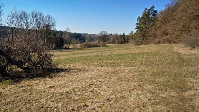 Sonniger Mittagslauf