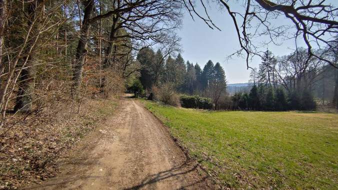 The shorts are back!