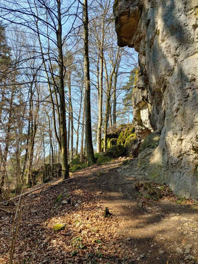 Felsen im Wald bestimmen das Bild der Wanderung