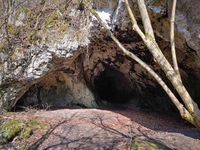 Der Eingang zur Rohenlochhöhle