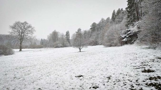 Trail durch den verschneiten Wald