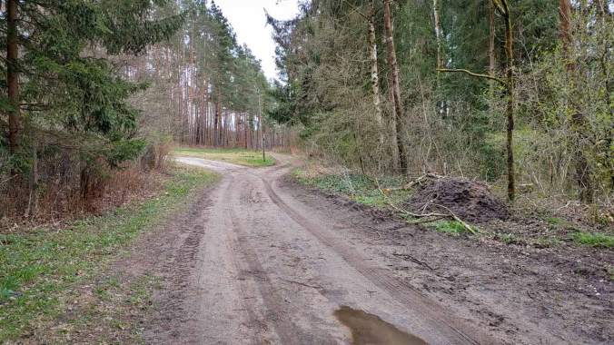 Ein kleines Stück durch den matschigen Wald