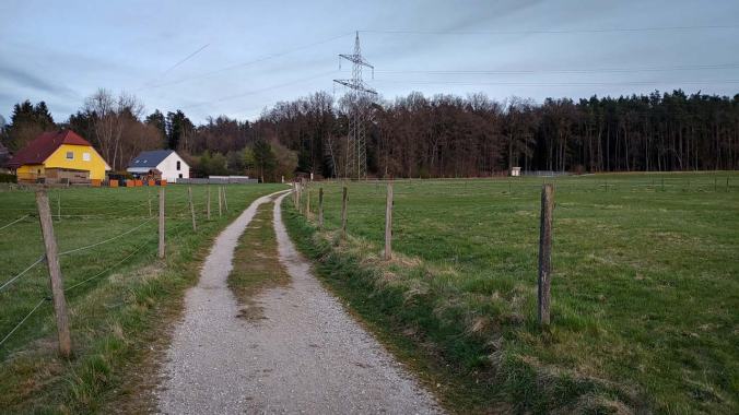 Zweiter Lauf des Tages bei angenehmen Temperaturen