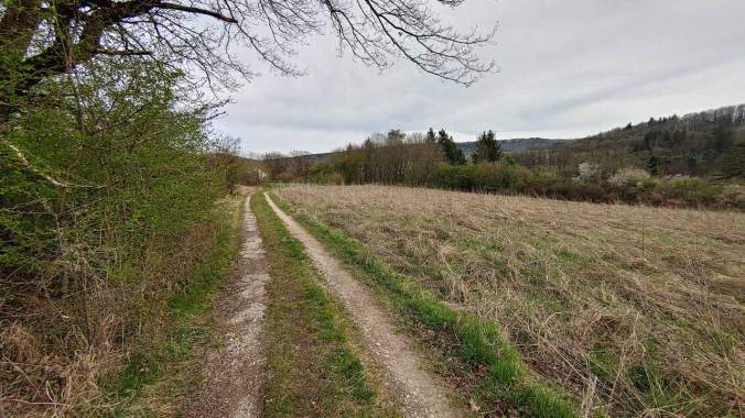 Angenehm warm war es heute beim Nachmittagslauf