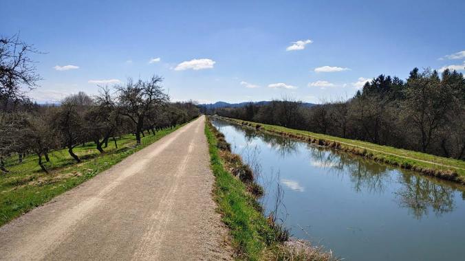 Bestes Laufwetter für den Halbmarathon im April