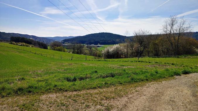 Sonnenschein beim Osterlauf