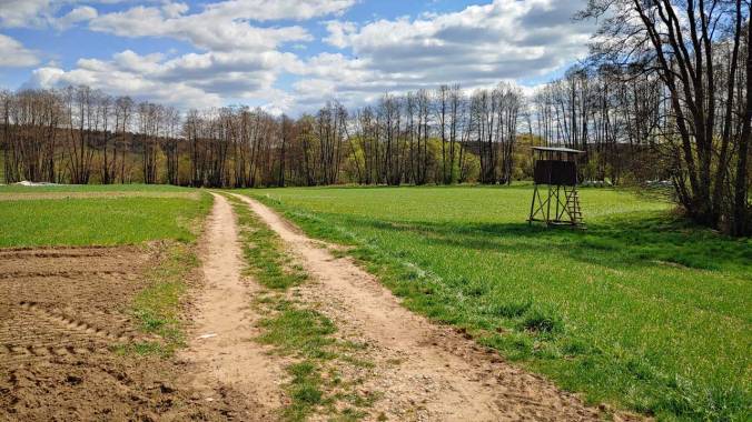 Bestes Laufwetter motiviert mich momentan