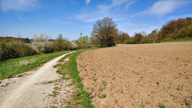Später Morgenlauf mit knackigem Wind und Sonnenschein