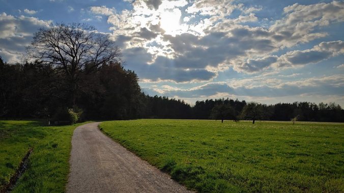 Schneller Abendlauf im Sonnenschein
