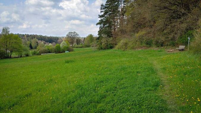 Wiese mit grünem Gras, bewölkter Himmel und eine Bank