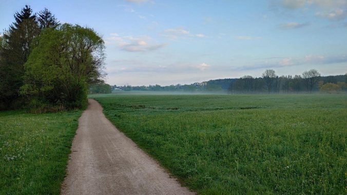 Morgens über die Felder im Nebel