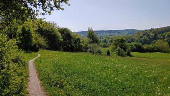 Alles grün beim heutigen Mittagslauf
