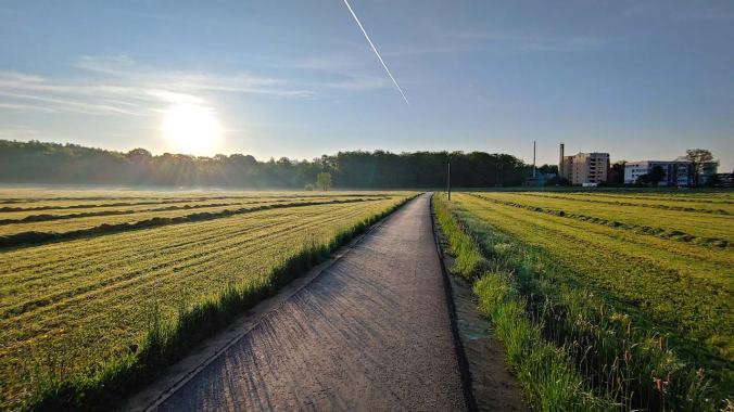 Müder Morgenlauf der aufgehenden Sonne entgegen