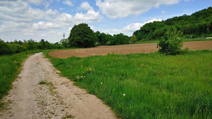 Windiger Mittagslauf