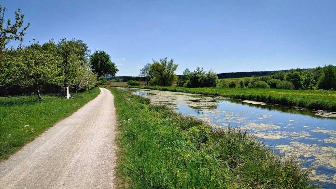 Halbmarathon am Alten Kanal entlang