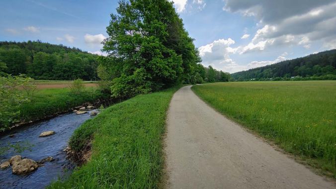 Grüne Wiese mit Bach und Bäumen