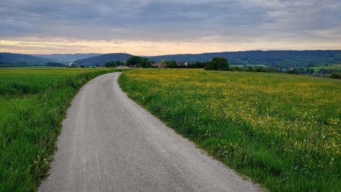 Morgenlauf über die Felder