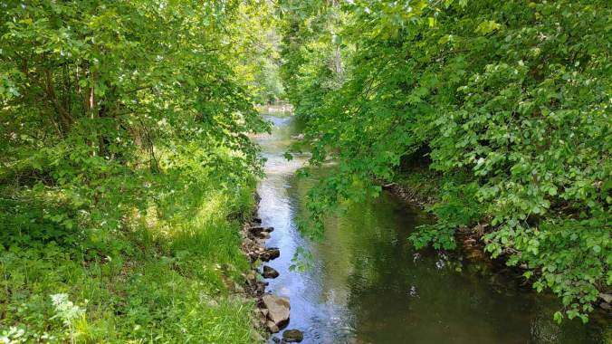 Sommerlich grün, aber nicht zu heiß