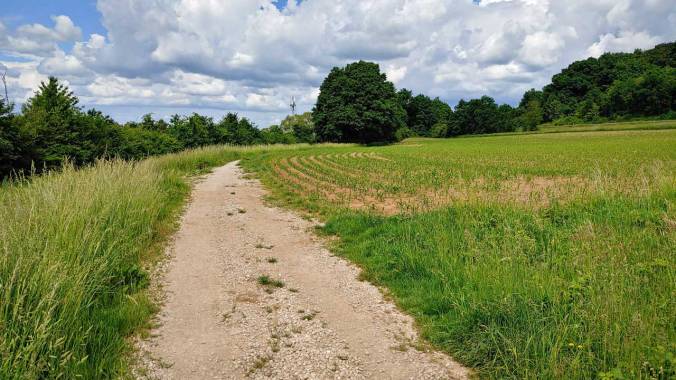 Wochenendspurt zu 54 km