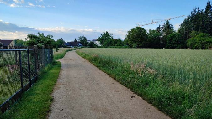 Der erste Morgenlauf im Juni