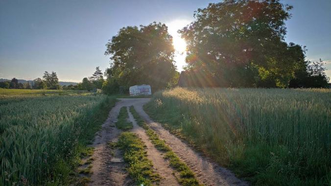 Sonnenaufgang über Wohnwagen und Bäumen