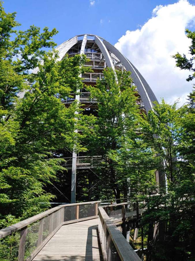 Das "Baum-Ei" am Baumwipfelpfad