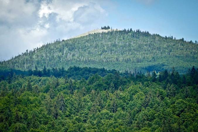 Ein erster Blick auf den Lusen...