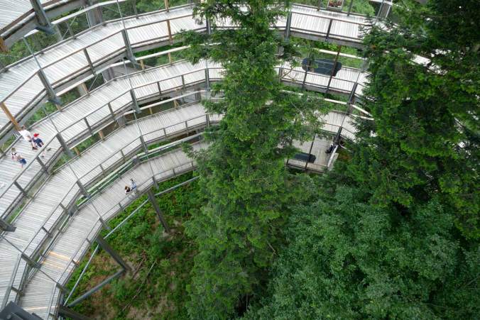 Der Blick im "Baum-Ei" nach unten