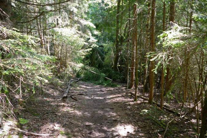 Hier sollte unser Weg entlangführen, doch...