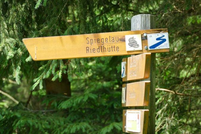 Immer der Kreuzotter nach