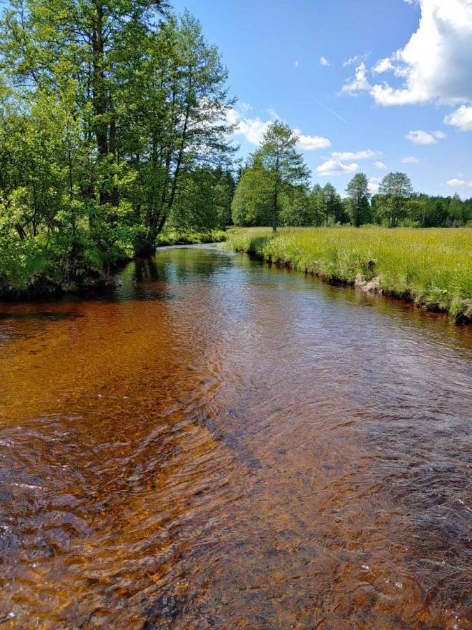 Ein Blick die Große Ohe hinunter