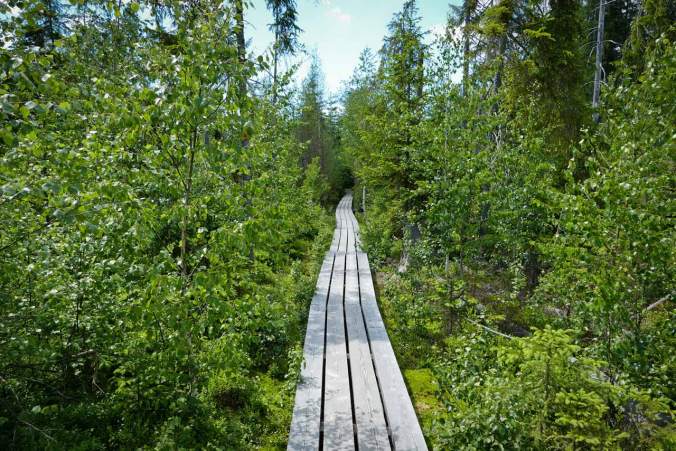 Nur auf dem ausgebauten Plankenweg kommt man vorwärts