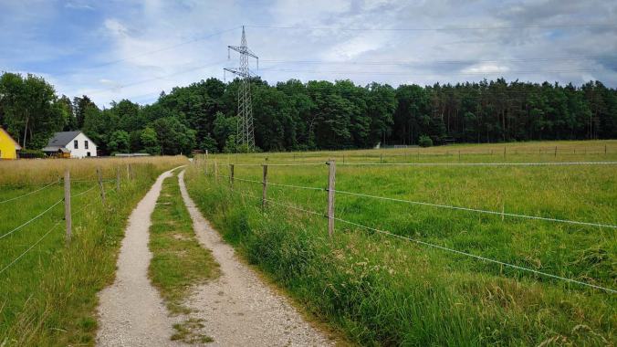 Wiesenweg mit Haus links und Wald im Hintergrund