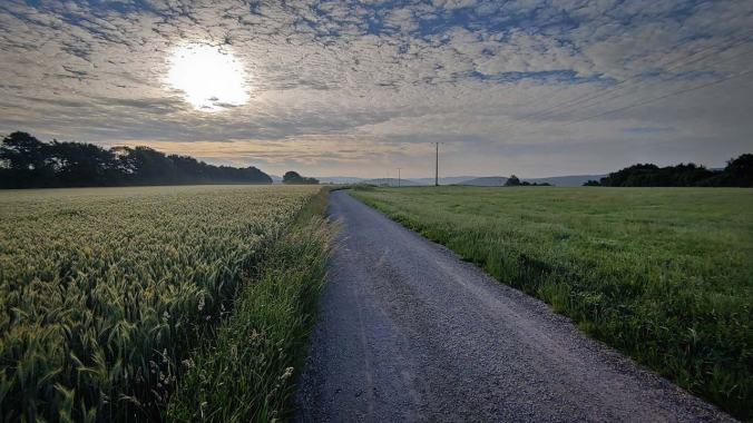 Sonnenaufgang über Getreidefeld