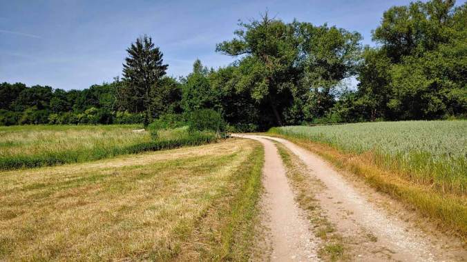 Vor einem arbeitsreichen Tag noch ein heißer Mittagslauf