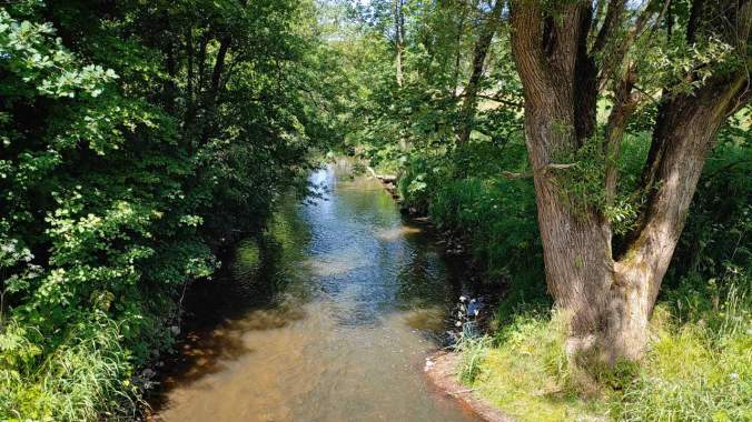 Recht angenehmer Mittagslauf