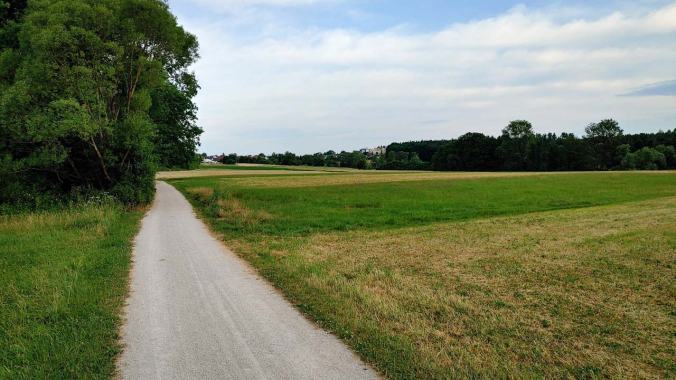 Müder Morgenlauf über die Felder
