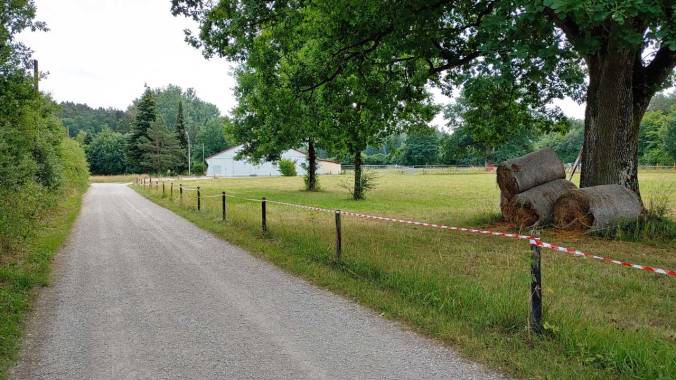 Ein harter Mittagslauf