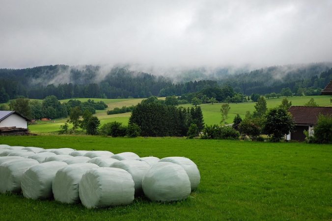 Der erste Eindruck des Tages war eher trüb