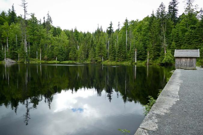 Das dunkle Wasser der Martinsklause