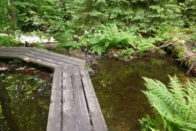 Über Holzbretter ging es von der Martinsklause Richtung Teufelsloch