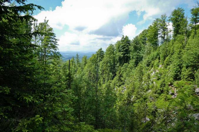 Zwischendurch wird man mit herrlichen Ausblicken belohnt