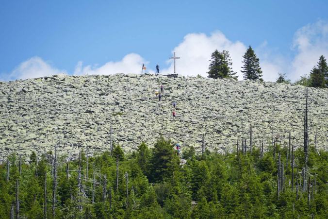 Ein Blick auf das Blockmeer des Lusen aus weiterer Ferne