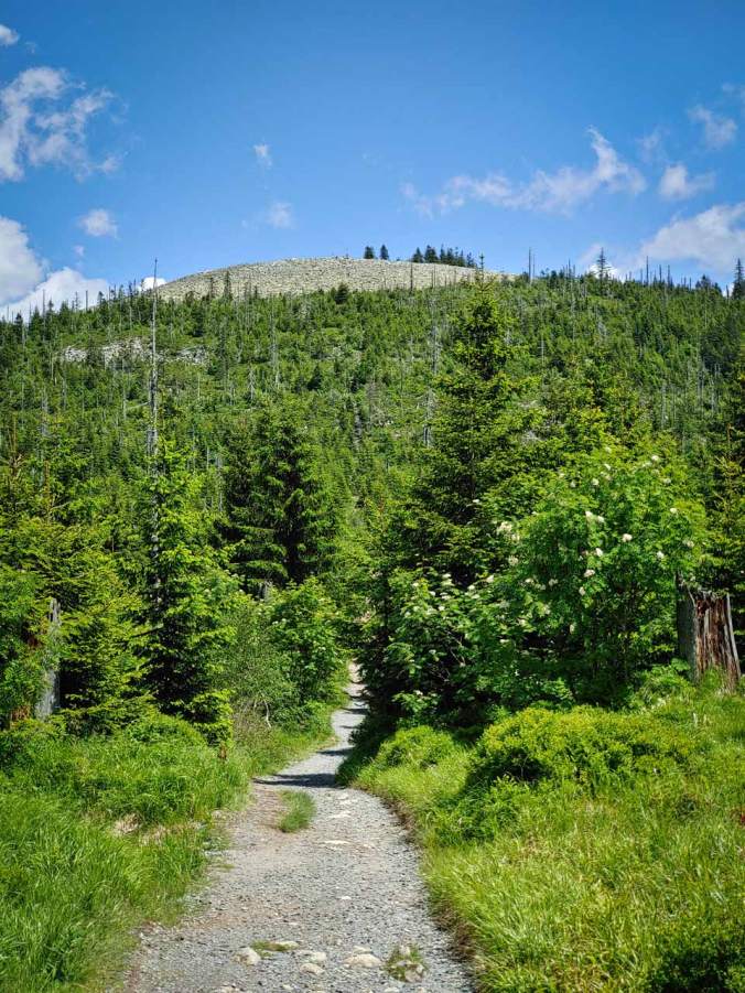 Der Weg auf den Gipfel führt recht gerade (und steil) nach oben