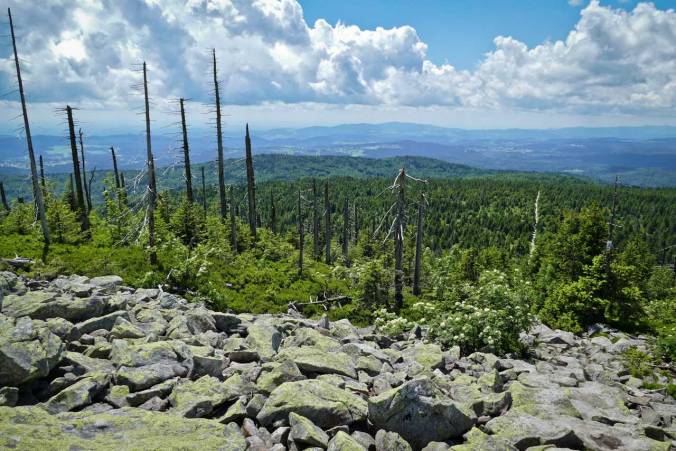 Rechts im Bild sieht man den Beginn des letzten Teilstückes
