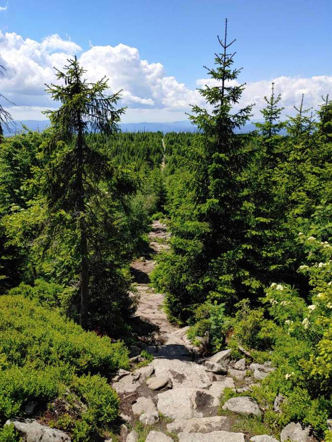 Schnurgerade sieht man hier den Weg von unten Richtung Gipfel